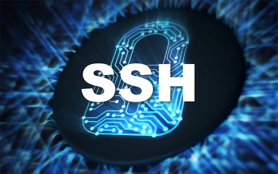 SSH’s PrivX wins its largest single deal with a major Governmental Entity in Europe.