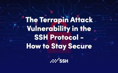 The Terrapin Attack Vulnerability in the SSH Protocol – How to Stay Secure