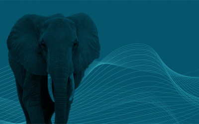 PostgreSQL — Your next database platform?