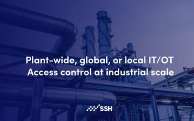 Plant-wide, global, or local IT/OT access control at industrial scale