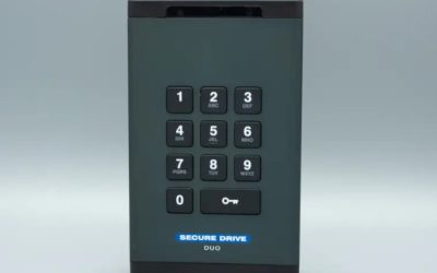 Weighing the Risks: External Hard Drive vs. Cloud-Based Storage